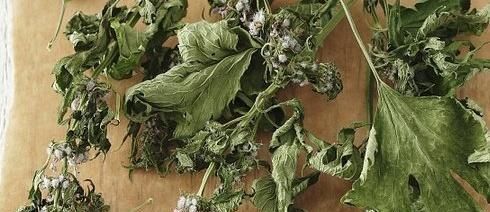 异常|气血不足的女性,多有3个“异常”,若能做好2事,排淤毒,顺气血