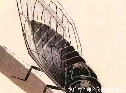  实齐白|齐白石画的“蝉”为何价值8亿？专家：放大30倍就明白了！