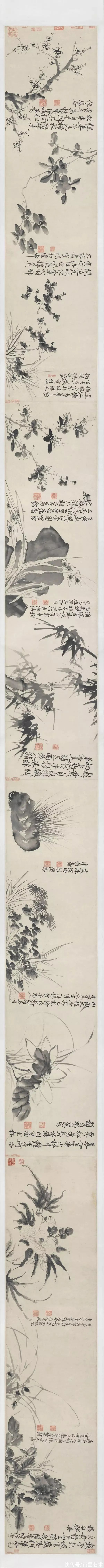 明朝@青藤白阳：明朝花鸟两大高峰