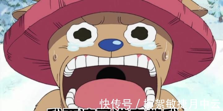 奎因|海贼王995马尔科对战大妈不落下风，奎因和伽治一样也是科学家