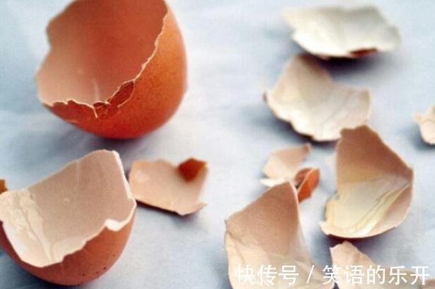 教你用鸡蛋壳养花的6个小技巧,学会了植物枝繁叶茂