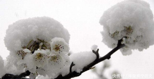 回家|考了十次不中举,回家时写下一诗,没想到却流传千古