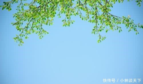 人觉着|懂得欣赏是一种美