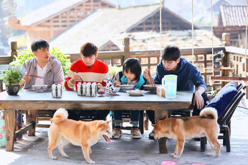 《向往的生活5》传出路透照,但未见张艺兴的身影