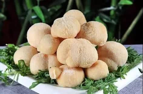 胃不好别发愁,多吃这6种食物,保护胃黏膜,“赶走”幽门螺杆菌