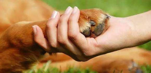 孕妈妈要注意,这五种行为可能会造成胎儿畸形,不要再做了