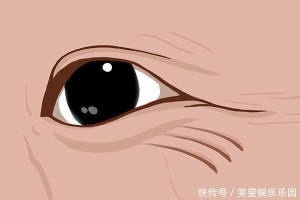 女人雌激素旺盛不易老,雌激素是否旺盛,自己能感受到,希望你有