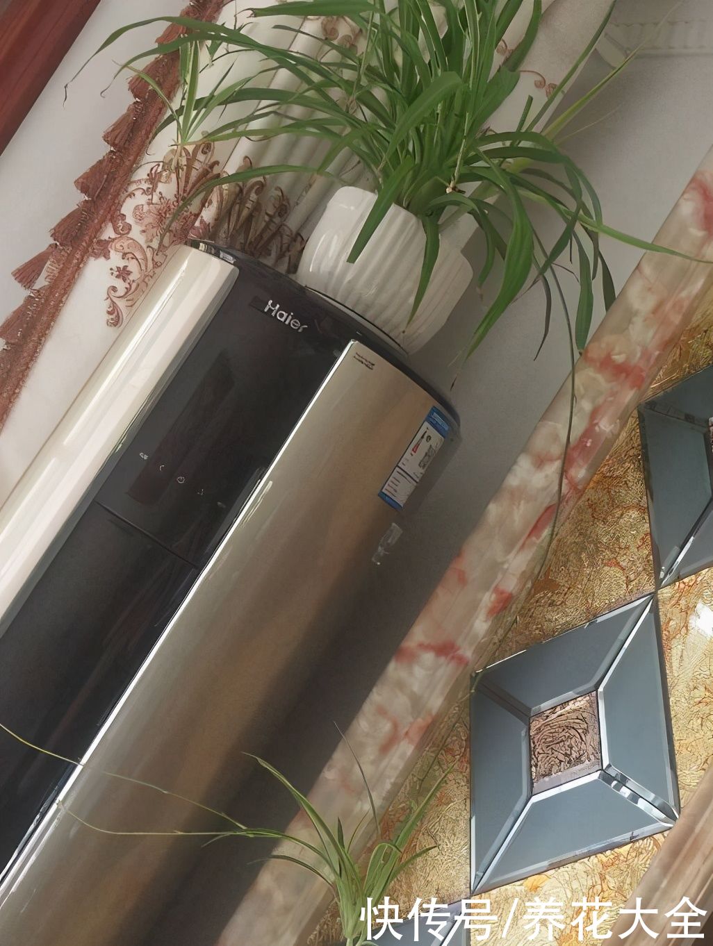 在家养花，一定要注意养花位置，5个地方不能养