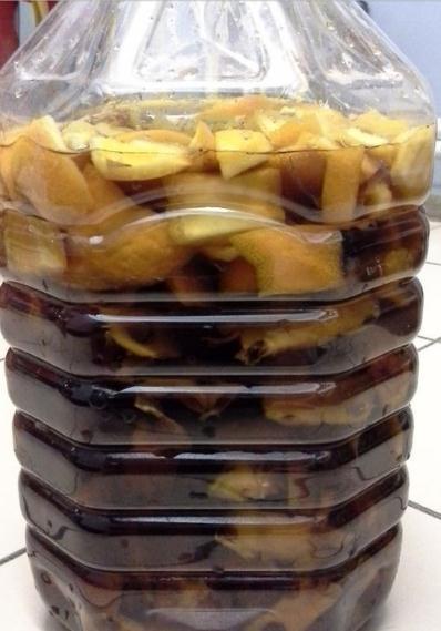 浇花|冬天浇花,建议不能用此“2种”水,浇完花卉就黄叶枯死