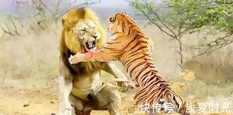 马云|故事：淘宝之父孙彤宇：跟随马云12年却被卸任，投资拼多多王者归来
