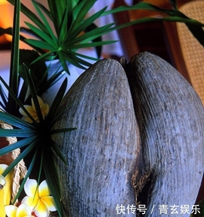 水果|这四种奇葩水果,你吃过几种?