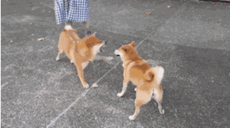 |搞笑GIF:帅哥吃个饭都不忘皮一下,大姐用劲儿大点儿