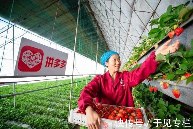 拼多多|力推“科技赋能农业”的拼多多，玩的是噱头还是真本事？
