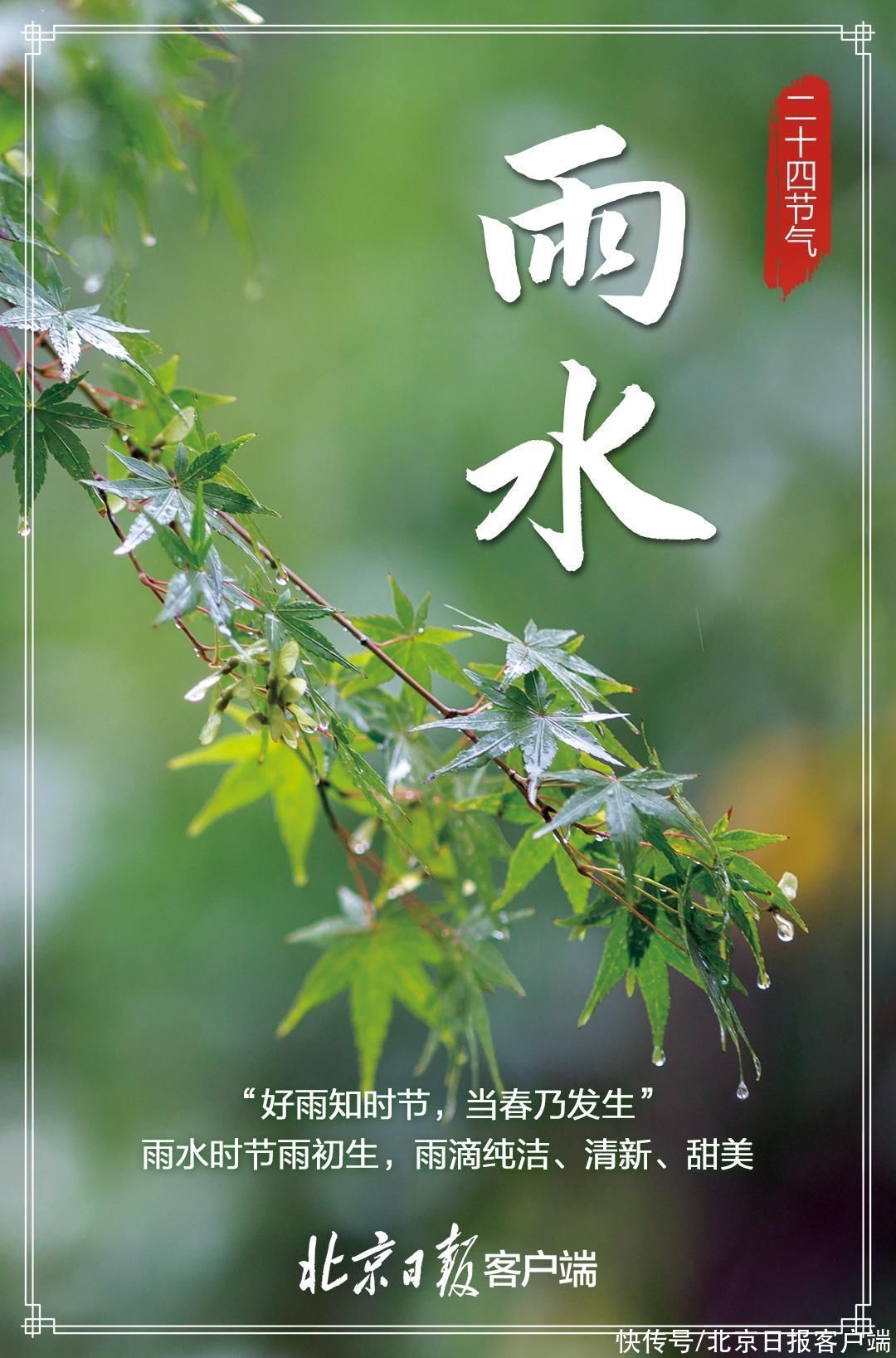 好雨知时节，当春乃发生，“雨水”来了