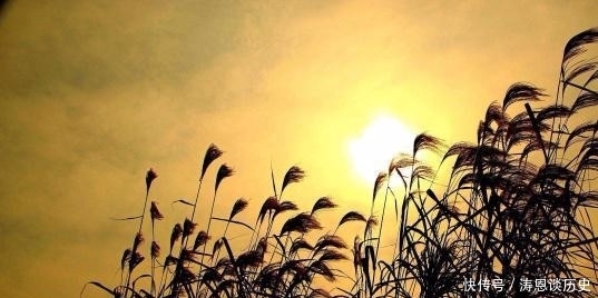 画面感|李白最有画面感的一首诗,通篇犹如一幅色彩绚丽的图画,很是唯美