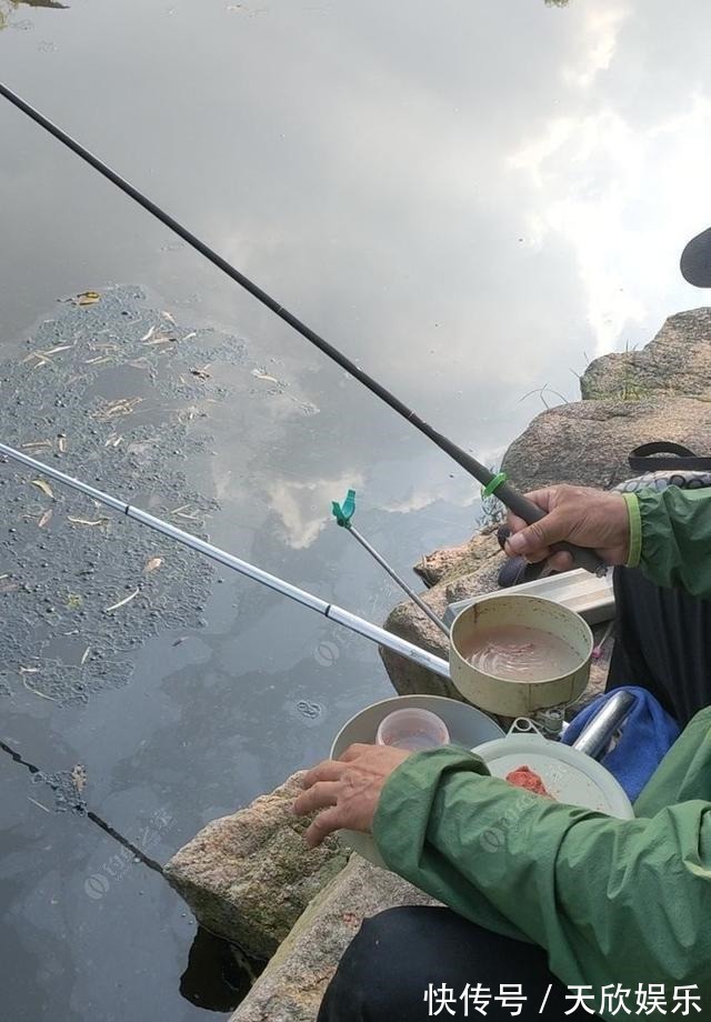 向高龄钓友请教的“摇三摇”钓法,毫无保留的分享给大家