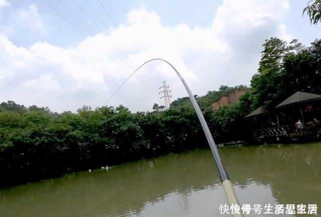 钓鱼|初学者台钓装备二:钓竿的调性与手法的重要性