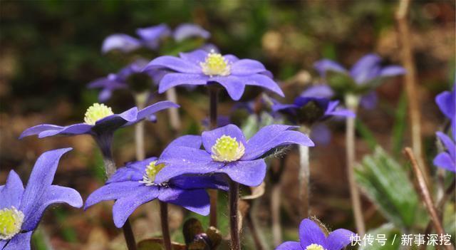 世界|能容纳世界的人,有一颗比这世界还要宽广的心