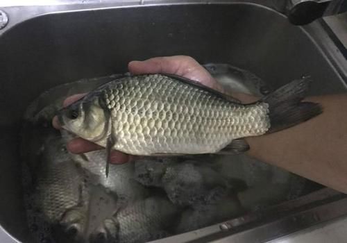 夜钓前需要做的3个准备，没准备好就最好别去，免得你白跑又闹心