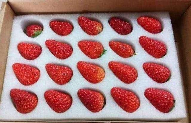 橘子|食品过度包装有多狠橘子都替你剥好了,可乐纯粹是“画蛇添足”