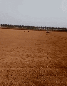 |搞笑GIF:第一次结婚没经验,岳父在上,小婿先干为敬