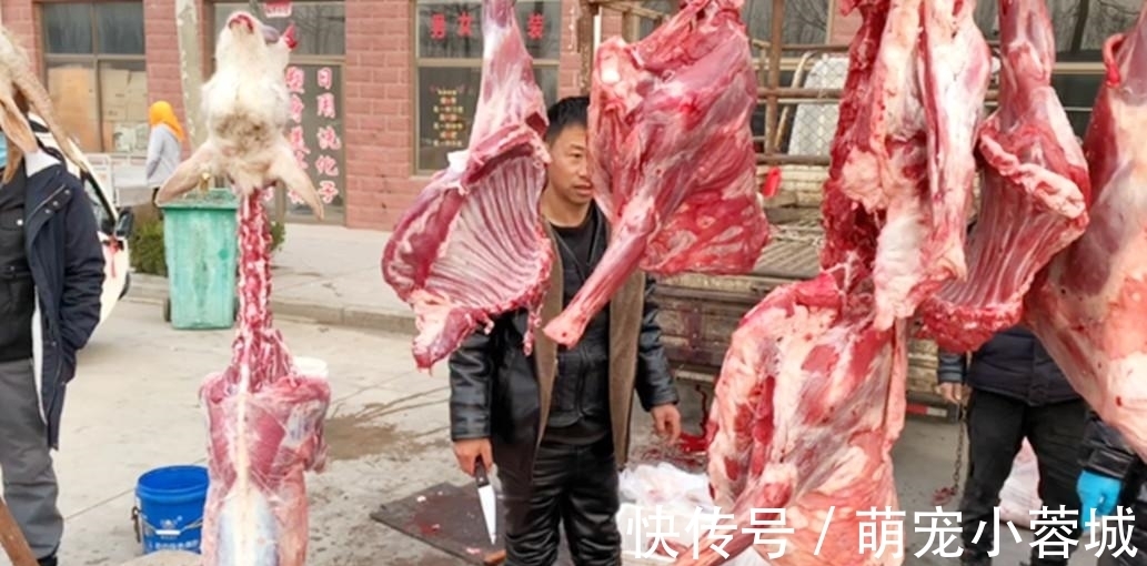 炖羊肉汤|炖羊肉时,有人先焯水,有人直接炖,大厨:全都不对,教正确做法