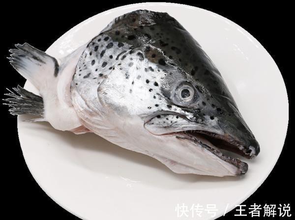 DH这几种鱼富含DHA,但千万别给宝宝吃!