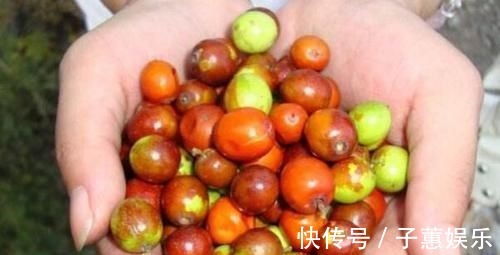 除痔|痔疮最怕这几样食物,每天吃两口,消炎除痔,比“塞药”管用