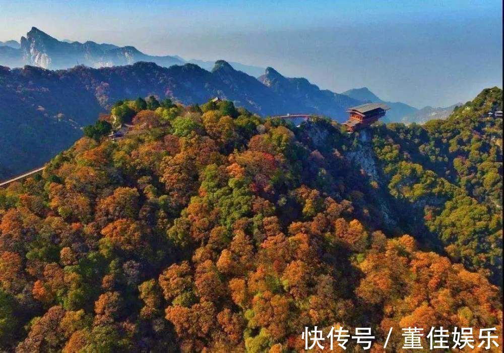 名篇!唐代女道士恋上和尚,写下一首情诗,只有短短24字却成千古名篇