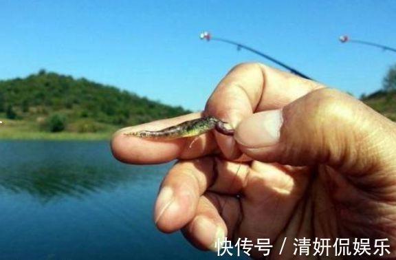 野钓高手的独门技巧,专门针对杂鱼闹窝、浮漂摇摆不定的难题!