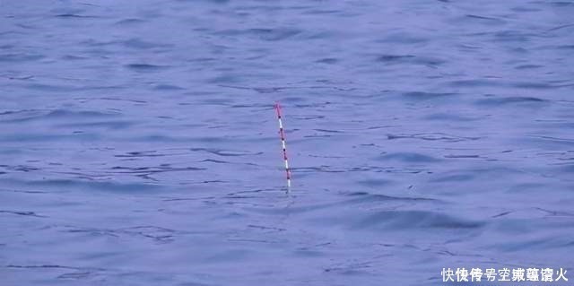 漂相|不知道用七星漂还是立漂,看完这篇就知道了