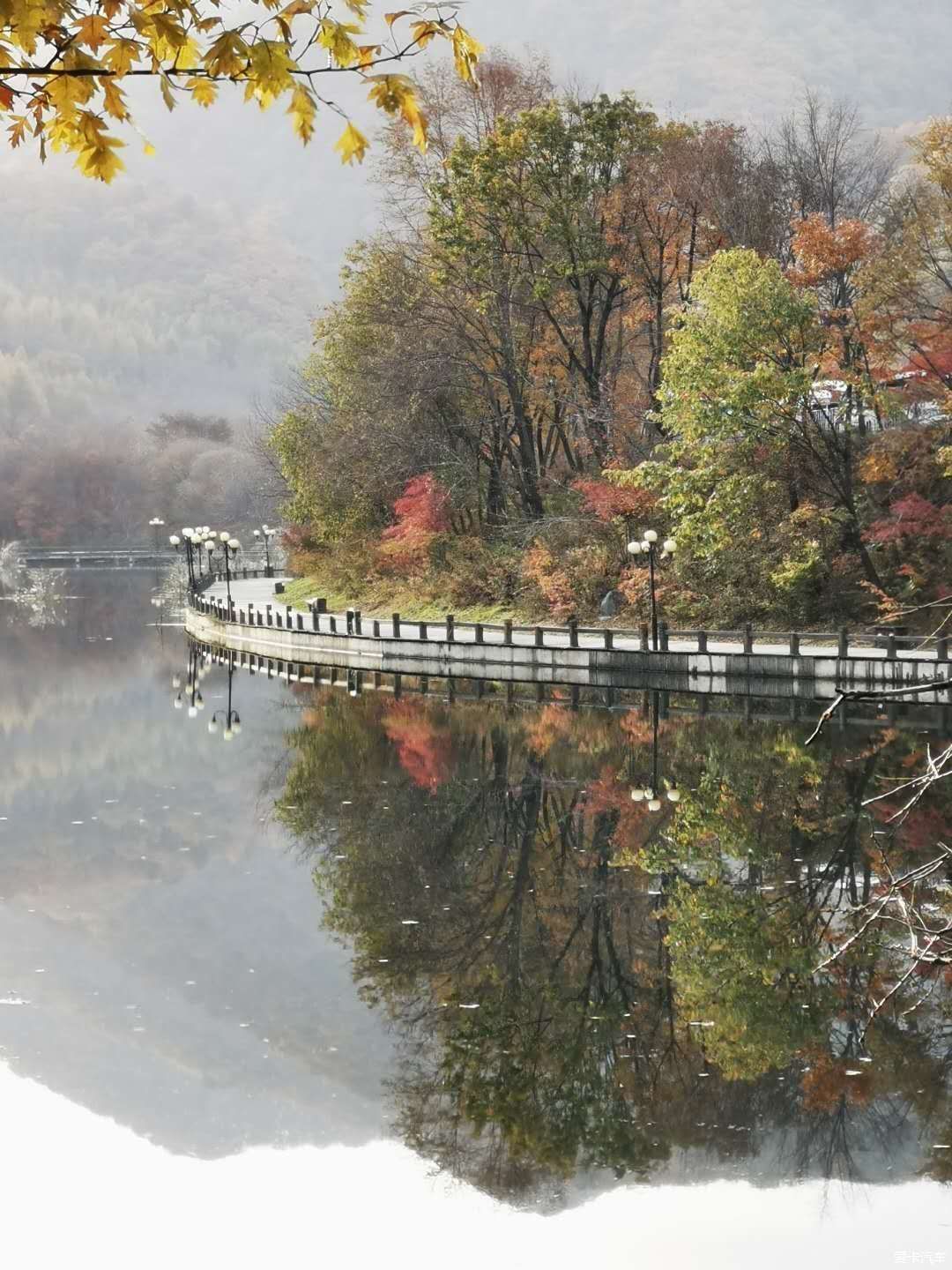 晚秋|欣赏晚秋的最后一抹色彩——关门山枫林