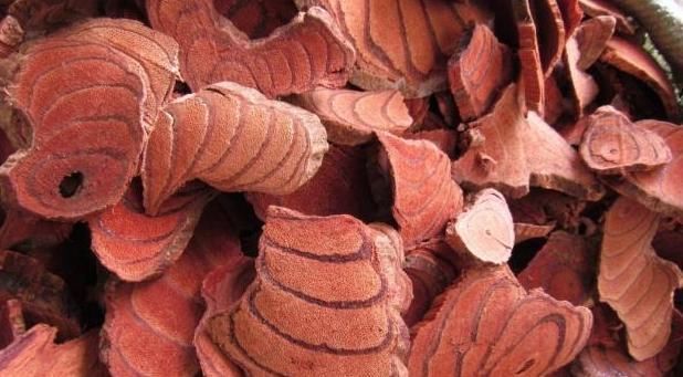 女人经期后,多吃以下6种食物,排出污血,卵巢干净显年轻