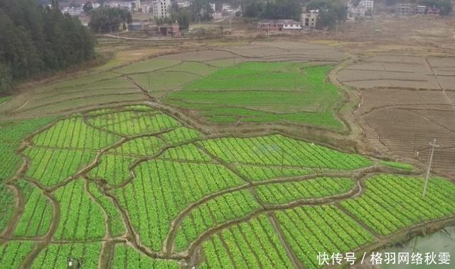 浅析拥有现代思想的“井田制”,为何在历史长河中消逝?