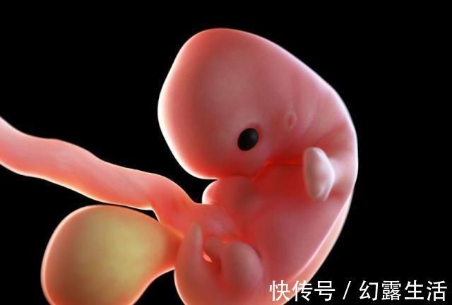 宝宝|怀孕1~40周,每周身体有何变化?送你一份“孕期清单表”!