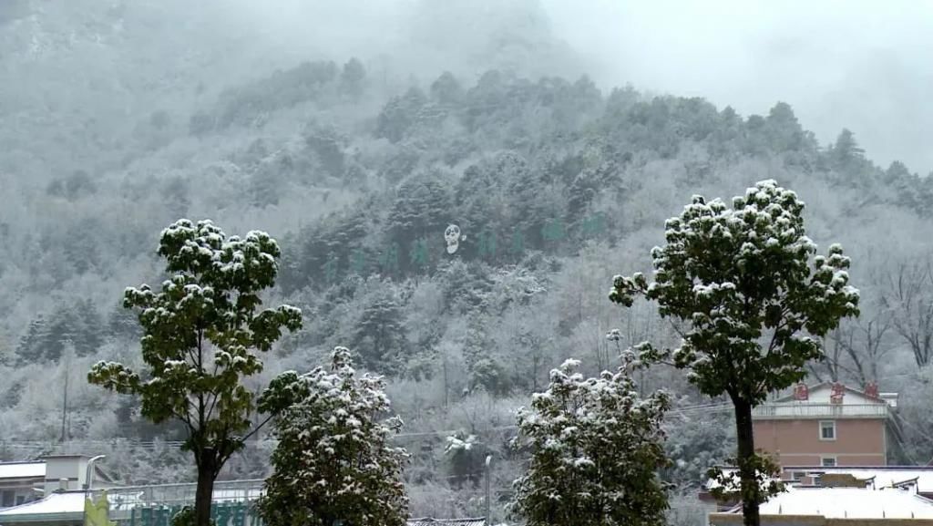 县区|初雪！周边县区雪景美图来袭！