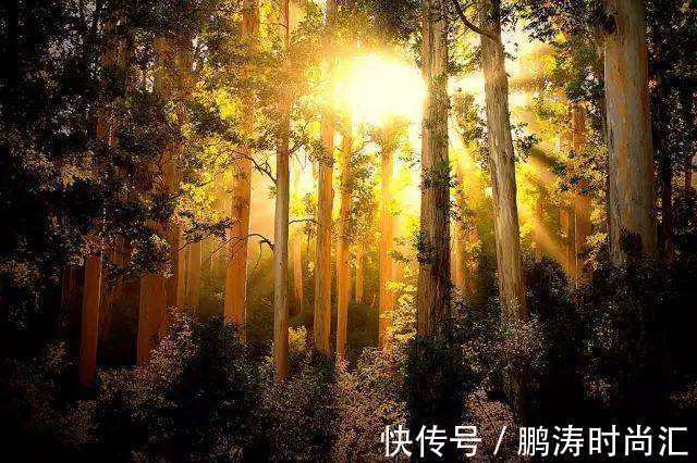 后天|阳气为什么可以治百病?中医为你解密,简单3招补足阳气远离寒湿