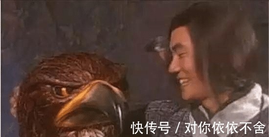 大雕#杨过的大雕最后去哪了倚天中早有暗示,结局让人难以接受!