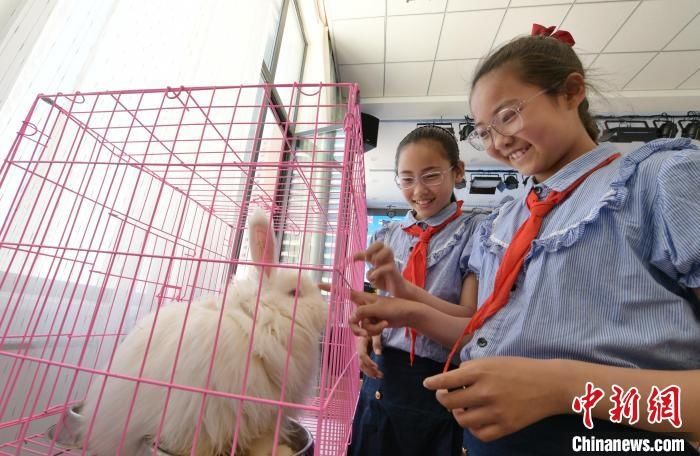 萌宠|动物园在小学生课堂“营业” “萌宠”扎推亮相