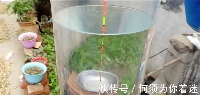 鱼儿|冬季鱼口轻,浮漂调钓很重要,这两点不考虑有口也没信号