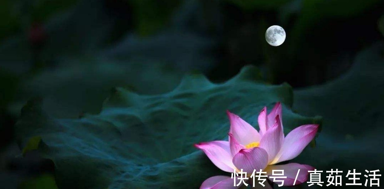 绿杨桥$苏轼在野外睡了一夜,醒来时在桥柱上写下这首词,成一首千古名作