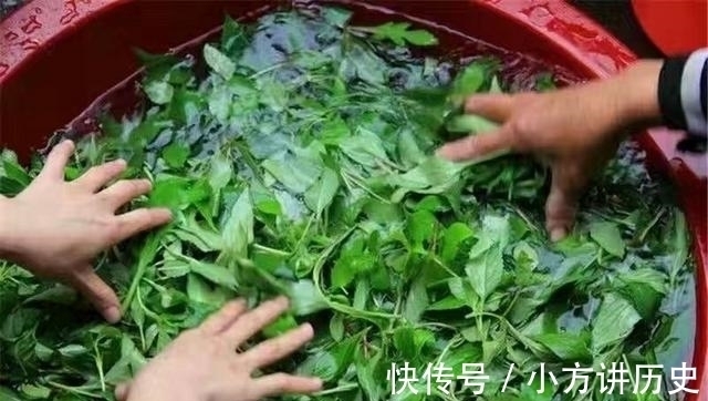 清热解毒|农村有种野菜，闻着臭吃着香，清热解毒还降火