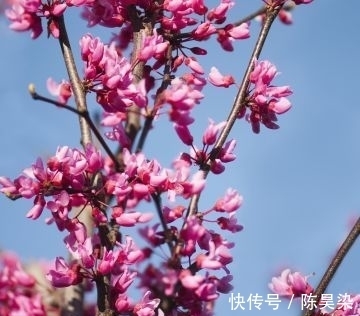 出师表&堪称元代诗词的天花板,居然是这首