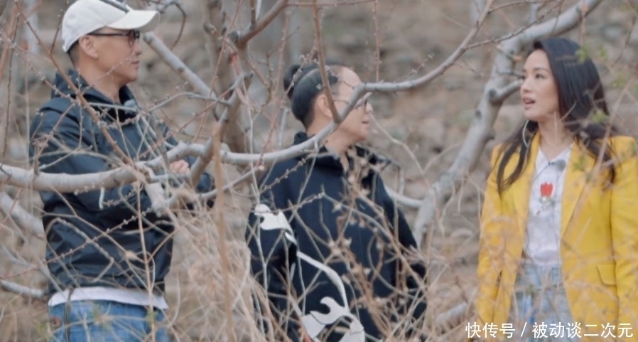 宋丹丹 张翰和周杰,你们是来《桃花坞》搞钱的吧?