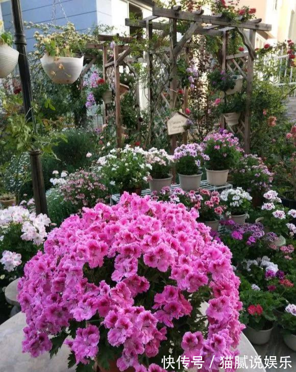 这9种花园，随便1个都美上天了，有一种这辈子就满足了！