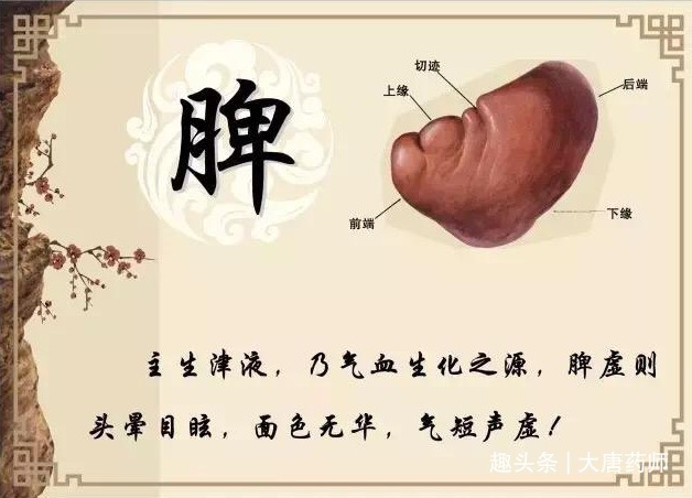 食疗|早上吃补中益气丸，晚上吃归脾丸，强健脾胃，百病远离！不妨试试