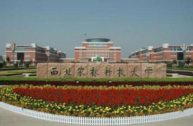 分数|想上985大学，高三“一模”需要考多少分？高于这个分数把握很大