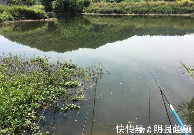 浮漂|挑选浮漂要讲方法,老钓手分享“四步选漂法”,实用又省钱