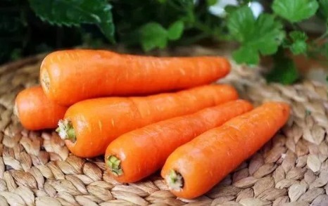 胡萝卜|吃胡萝卜的5个误区，你以为在养生，其实是在“害命”