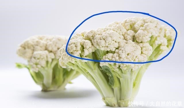 吃主食,不怕胖!不长肉的主食来了→